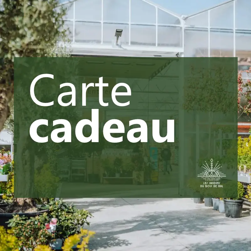 Carte cadeau Les Jardins du Bois de Hal