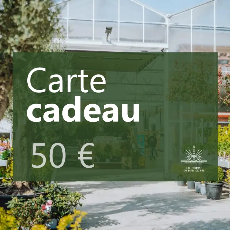 Carte-cadeau 50€