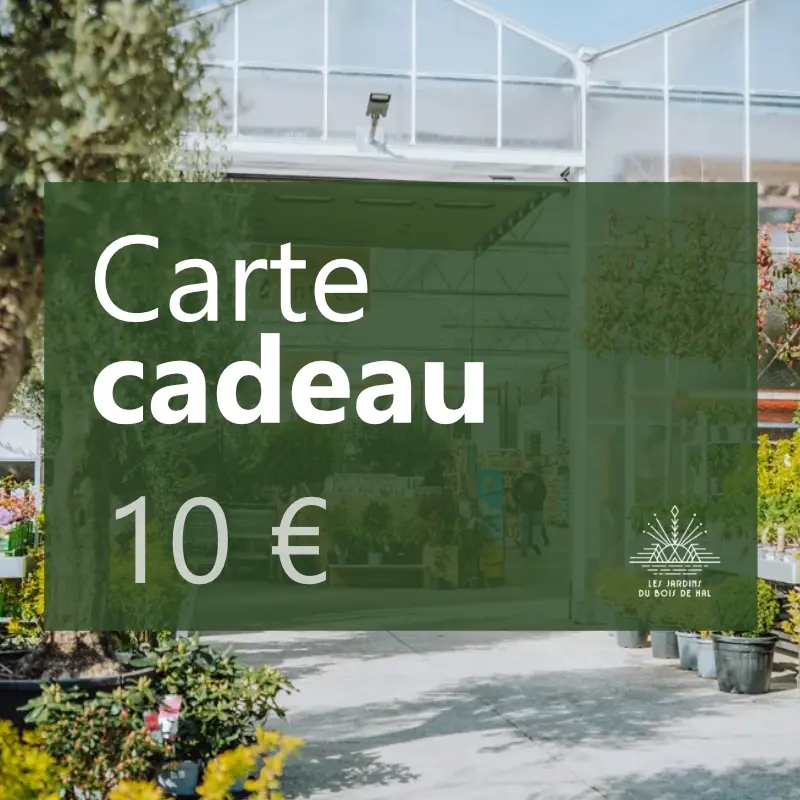 Carte-cadeau 10€