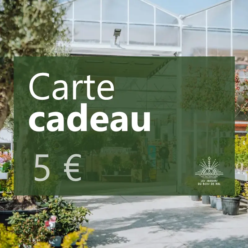 Carte-cadeau 5€